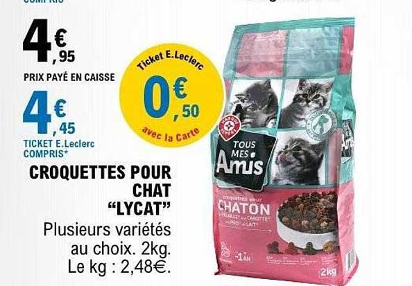 Tous Mes Amis CHATON