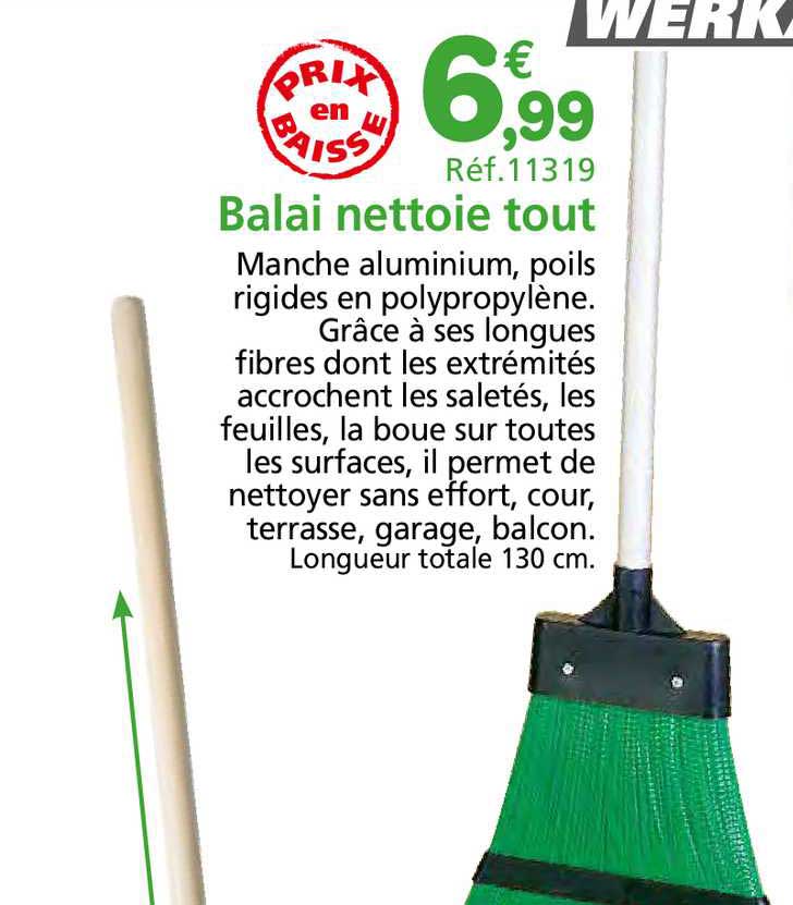 Balai Nettoie Tout Werka Pro
