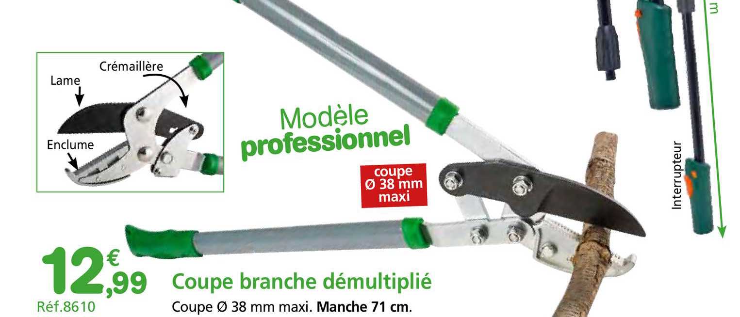 coupe branche démultiplié
