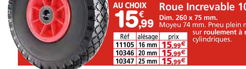 roue increvable 10"