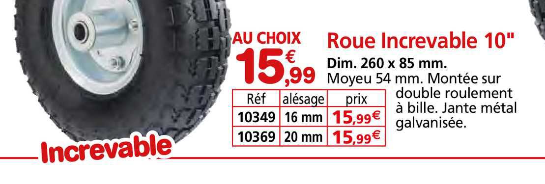 roue increvable 10"
