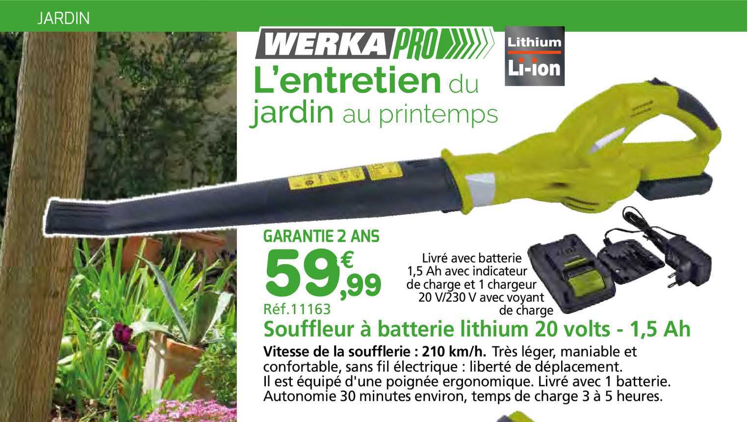 Souffleur à Batterie Lithium 20 Volts - 1,5 Ah Werka Pro