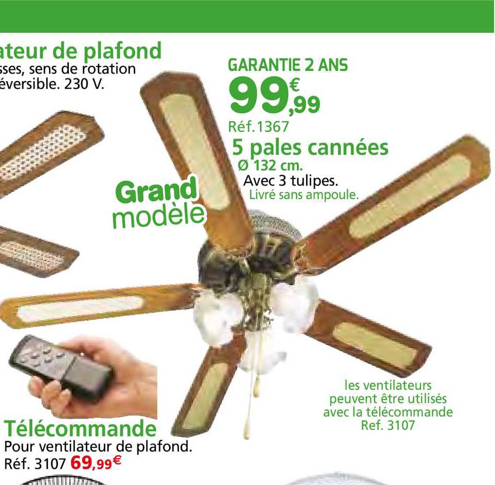 télécommande, aspirateur de plafond 5 pales cannées 132 cm