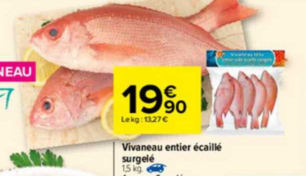 vivaneau entier écaillé surgelé