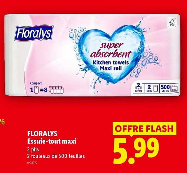 FLORALYS Essuie-tout maxi