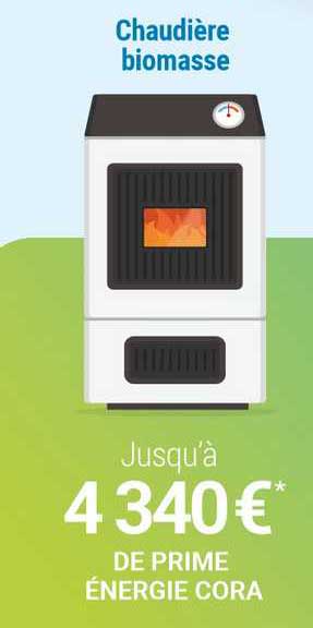 chaudière biomasse