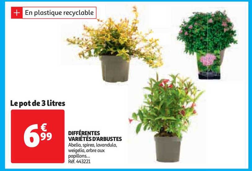 différentes variétés d'arbustes
