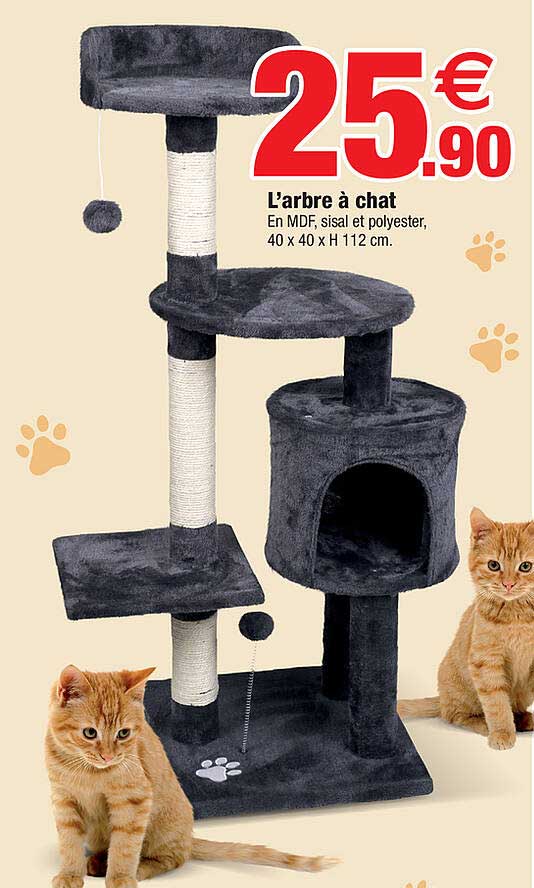 l'arbre à chat