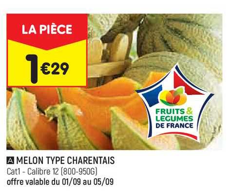 melon type charentais