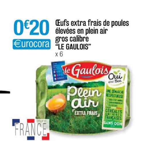 oeufs extra frais de poules élevées en plein air gros calibre "le gaulois"