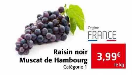 raison noir muscat de hambourg