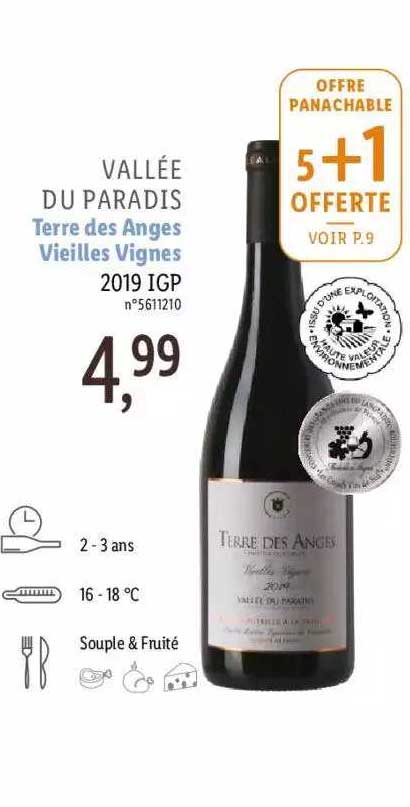 vallée du paradis terre des anges vieilles vignes 2019 igp