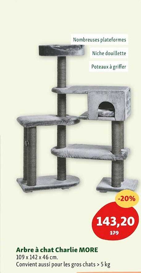 arbre à chat charlie more