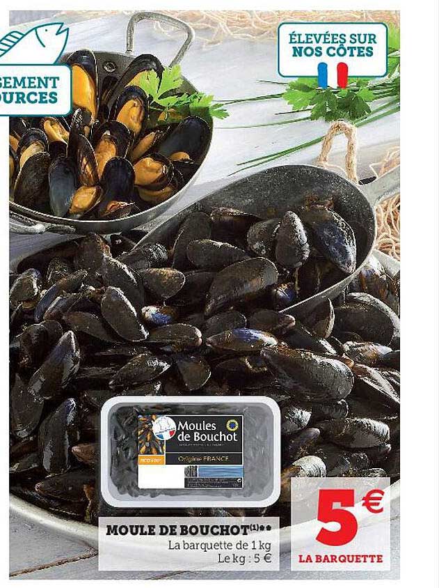 Moule De Bouchot
