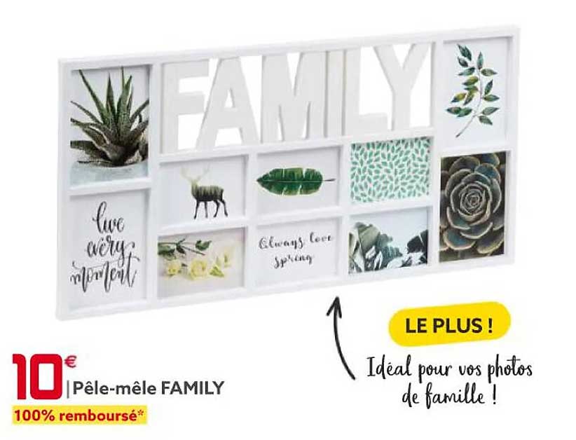 pêle-mêle family