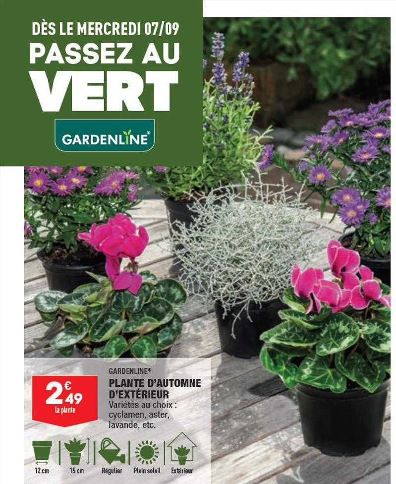 plante d'automne d'extérieur Garden line