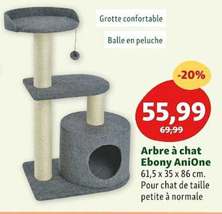 arbre à chat ebony anione