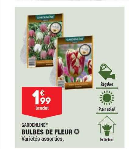 bulbes de fleur garden line