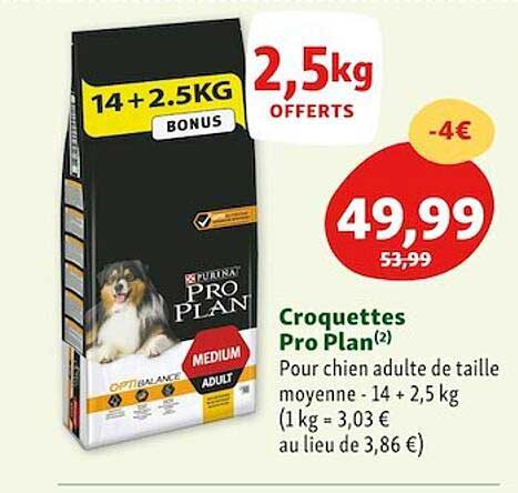 Croquettes Pro Plan