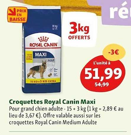 croquettes royal canin maxi