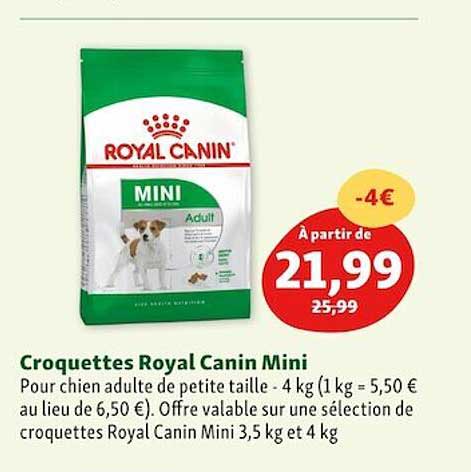 croquettes royal canin mini