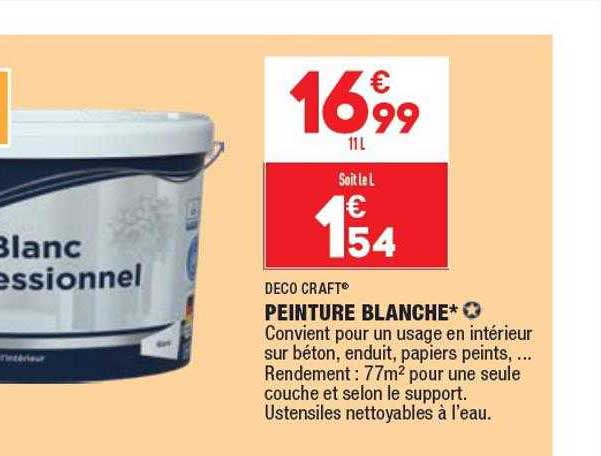 Peinture Blanche Déco Craft