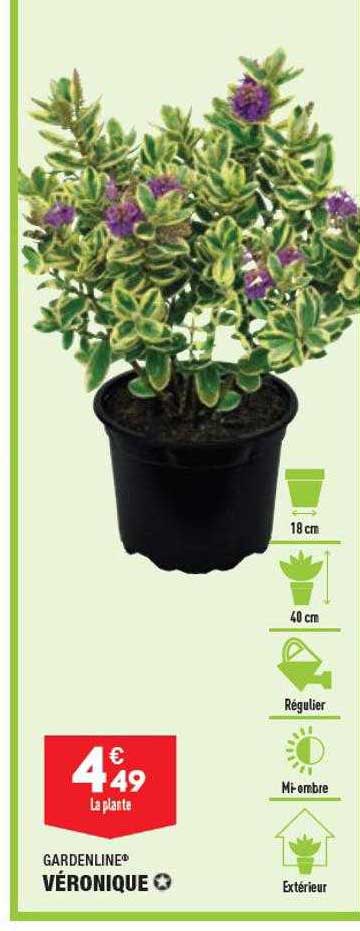 véronique garden line