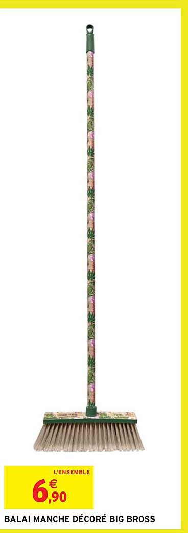 balai manche décoré big bross