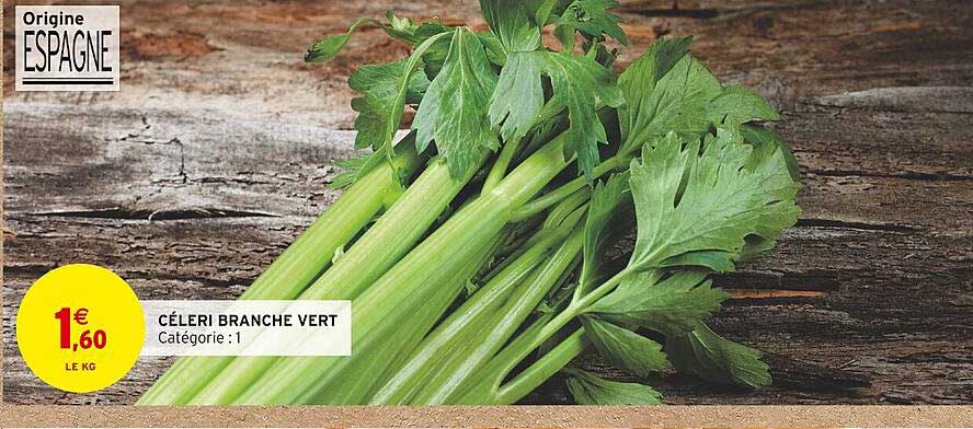 Céleri Branche Vert