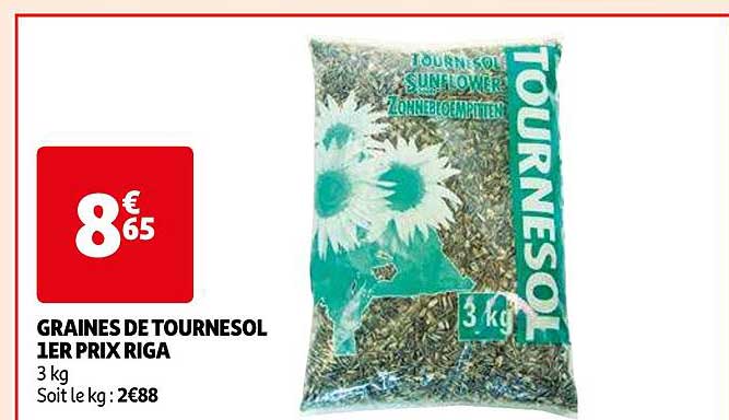 graines de tournesol 1er prix riga