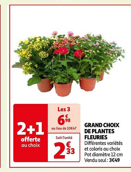 grand choix de plantes fleuries