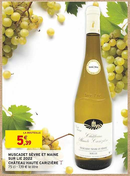 muscadet sèvre et maine sur lie 2022 château haute carizière