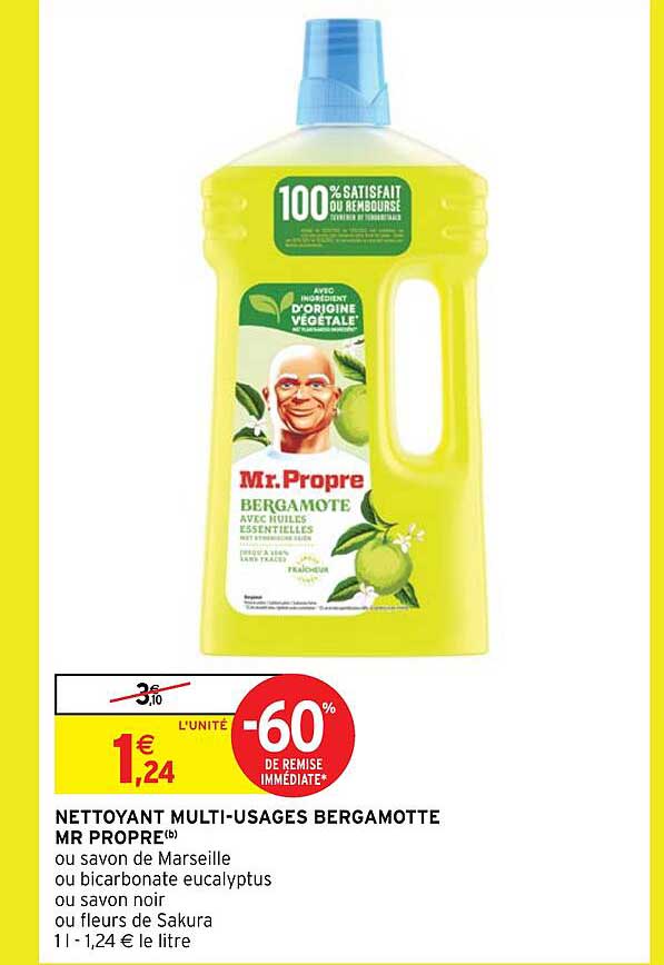 nettoyant multi-usages bergamotte mr propre