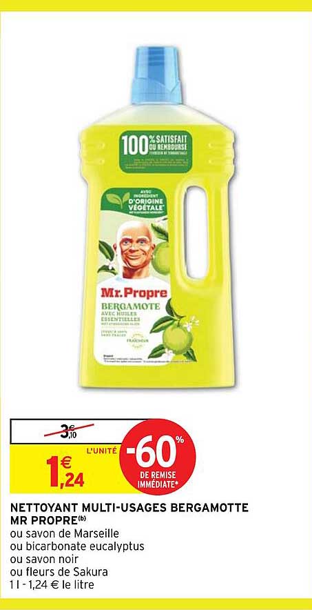 nettoyant multi-usages bergamotte mr propre