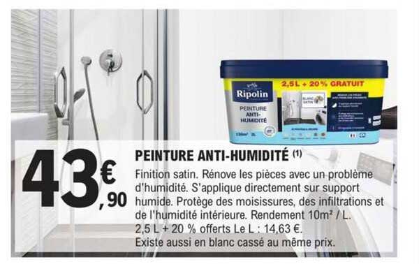 peinture anti-humidité ripolin