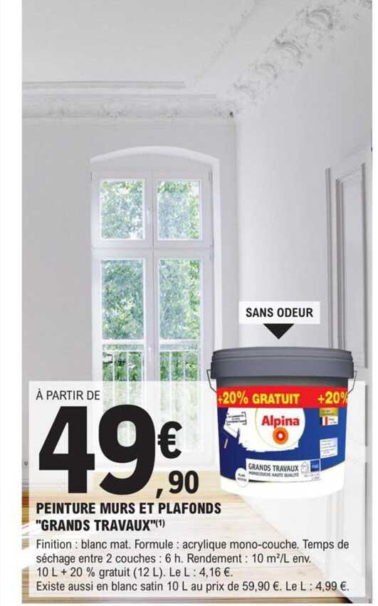 peinture murs et plafonds "grands travaux"