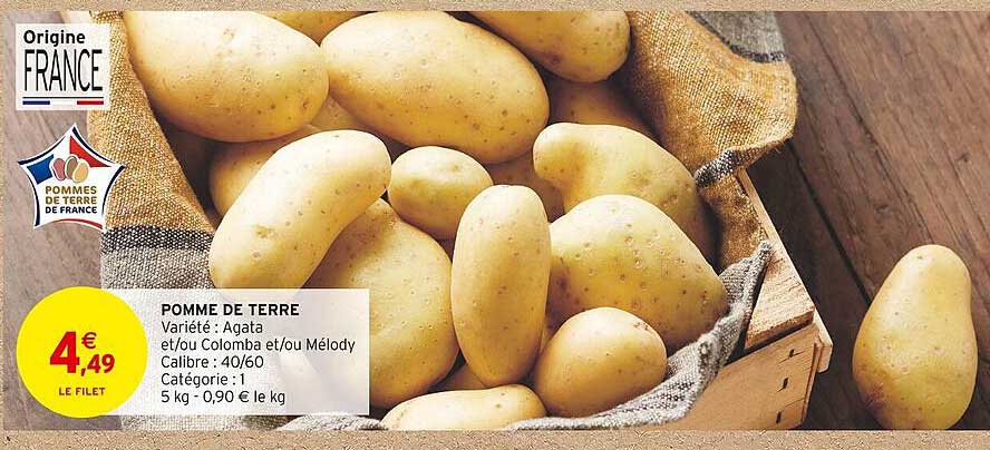 pomme de terre agata et/ou colomba et/ou mélody
