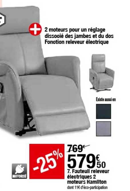 fauteuil releveur électriques 2 moteurs hamilton