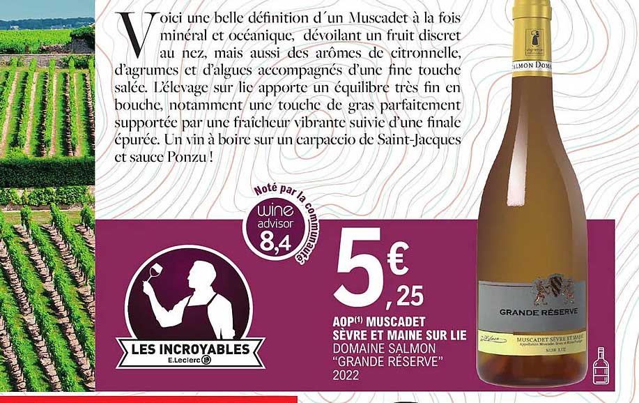 aop muscadet sèvre et maine sur lie domaine salmon "grande réserve" 2022