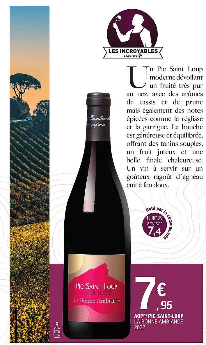 aop pic saint-loup la bonne ambiance 2022