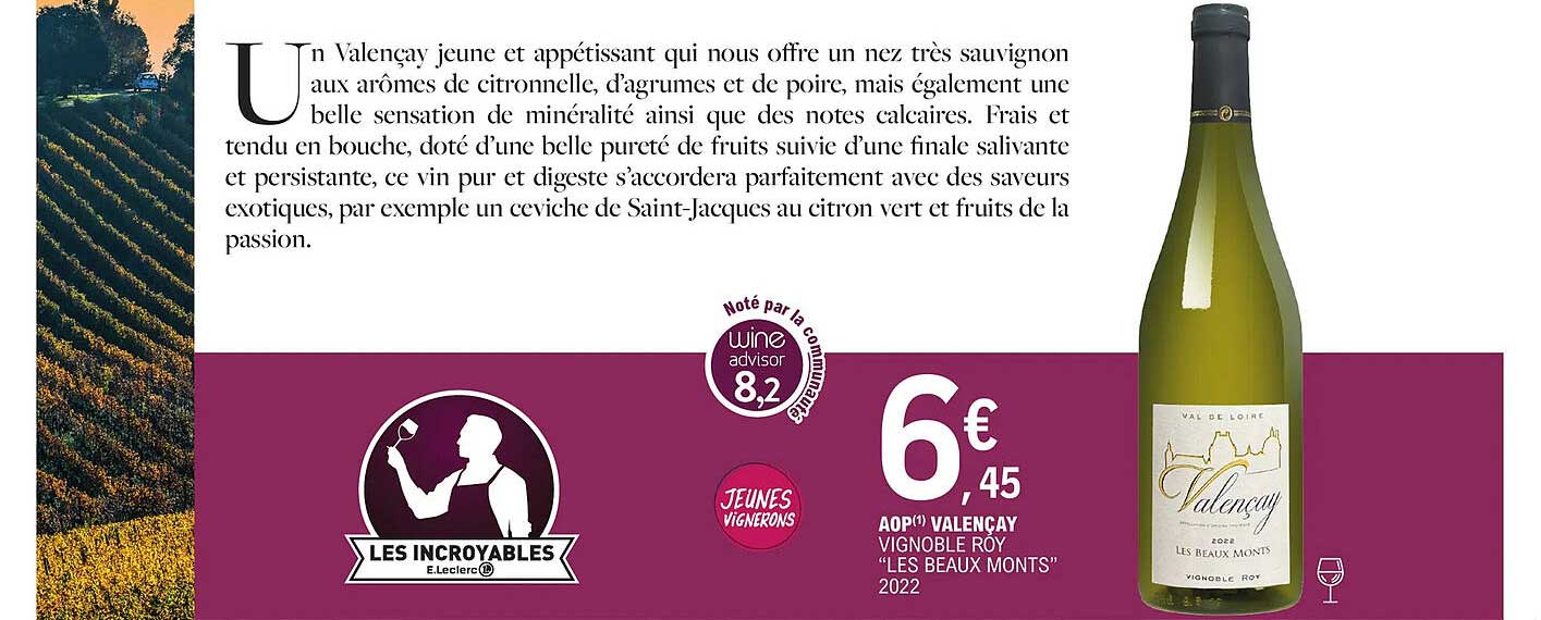 aop valençay vignoble roy "les beaux monts" 2022