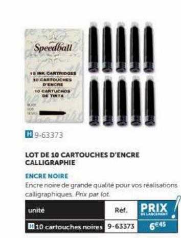 lot de 10 cartouches d'encre calligraphie