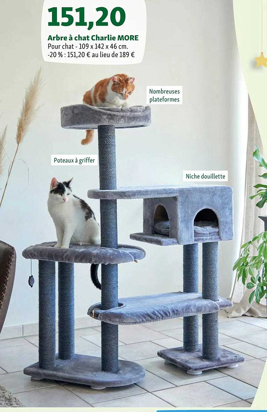 arbre à chat charlie more