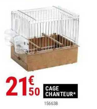 cage chanteur