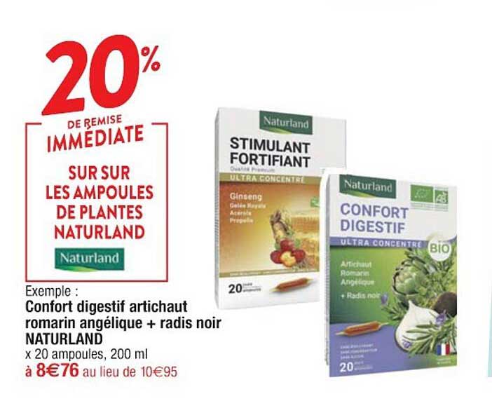 confort digestif artichaut romarin angélique + radis noir naturland