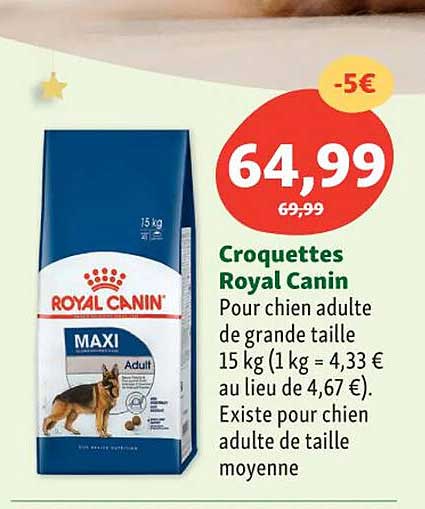 croquettes royal canin