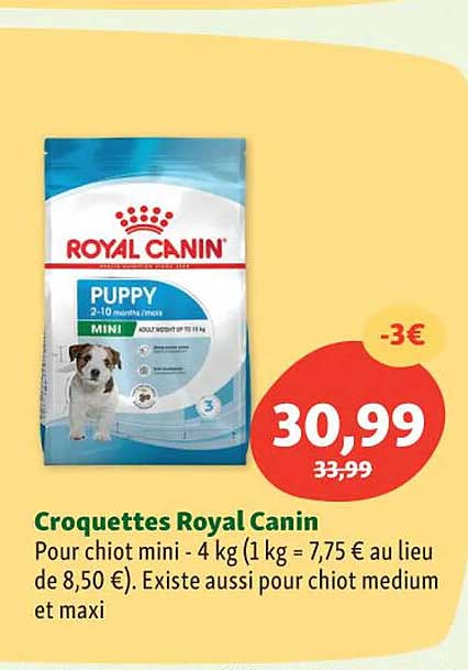 croquettes royal canin