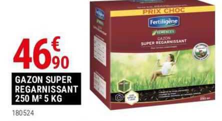 Gazon Super Regarnissant 250 M² 5 Kg