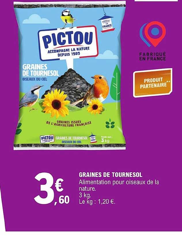 Graines De Tournesol Pictou