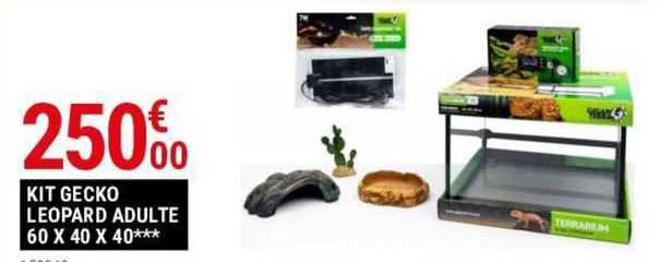kit gecko leopard adulte 60 x 40 x 40